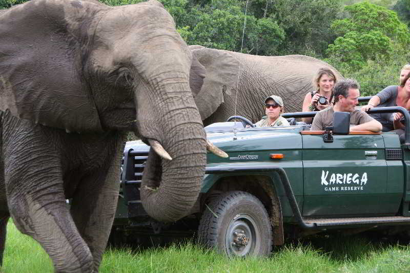 Kariega Game Reserve Bushman's River Mouth Екстериор снимка
