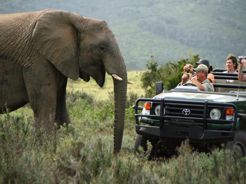 Kariega Game Reserve Bushman's River Mouth Екстериор снимка
